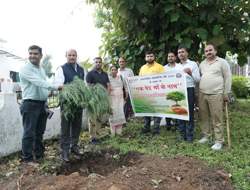 एक पेड़ माँ के नाम