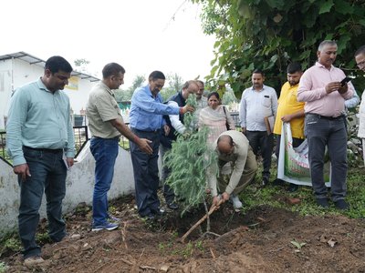 एक पेड़ माँ के नाम